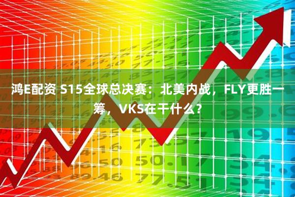 鸿E配资 S15全球总决赛：北美内战，FLY更胜一筹，VKS在干什么？