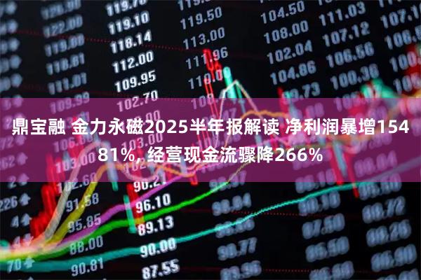 鼎宝融 金力永磁2025半年报解读 净利润暴增15481%, 经营现金流骤降266%