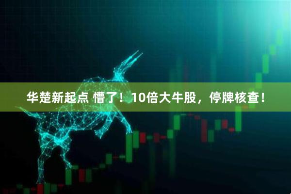 华楚新起点 懵了！10倍大牛股，停牌核查！