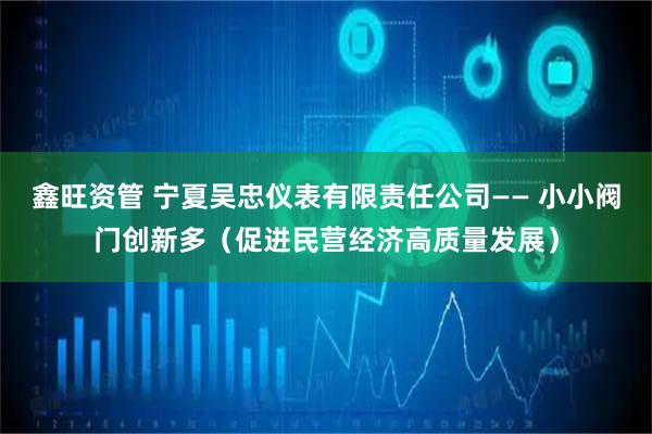 鑫旺资管 宁夏吴忠仪表有限责任公司—— 小小阀门创新多（促进民营经济高质量发展）