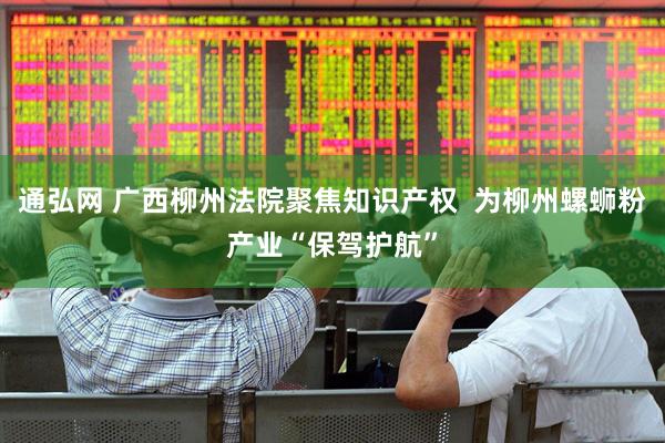 通弘网 广西柳州法院聚焦知识产权  为柳州螺蛳粉产业“保驾护航”