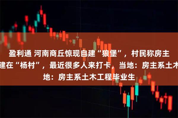 盈利通 河南商丘惊现自建“狼堡”，村民称房主姓杨，正好建在“杨村”，最近很多人来打卡，当地：房主系土木工程毕业生