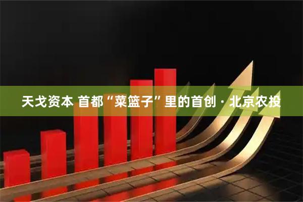 天戈资本 首都“菜篮子”里的首创 · 北京农投
