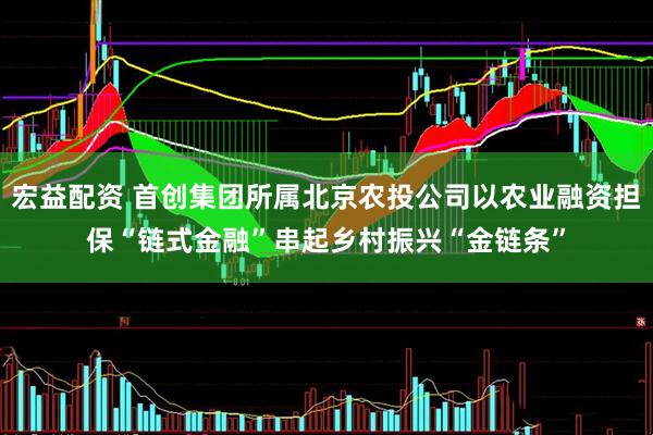 宏益配资 首创集团所属北京农投公司以农业融资担保“链式金融”串起乡村振兴“金链条”